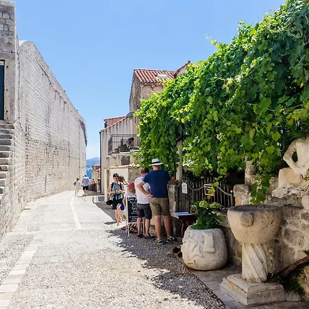 Daire Dominium Old *