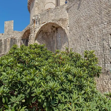 Daire Dominium Old Dubrovnik